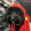 Bethany Cadle - @bethany.cadle - TikTok