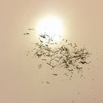 Bethany Celestine Rachel - @bethany072413 - Instagram