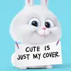 Bethany van Schalkwy - @bethany_vanschalkwyk - TikTok