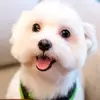 Bethany Chamberlain - @bethany.chamberla5 - TikTok