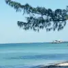Bethany Chamness - @2184910696 - TikTok