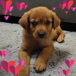 Bethany Chase - @babygurlbugz7 - Instagram