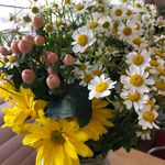 Bethany Cobb Moy - @lobraustudios - Instagram