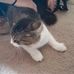 Bethanie Cochran - Facebook