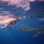 Bethany Cochran - @faith_3172 - Instagram