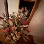 Bethany Colley - Facebook