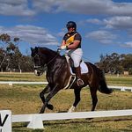 Bethany cook - @bjc.dressage - Instagram