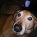 Beth Crosby - Facebook