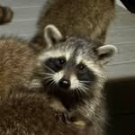 Bethany Crosby Hartford - @hartfordbethany - Instagram