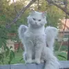 BethanyDaniels - @bethanydanielsglqqwg - TikTok
