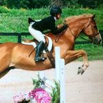 Bethany Davidson - @davidsonequestrian - Instagram