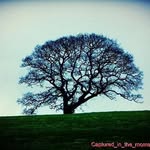 Bethany Duffy - @captured_in_the_moment_24 - Instagram