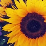 Bethany Duffy - @bethsphotography39 - Instagram