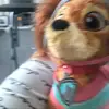 bethanyduffy1209 - @bethanyduffy1209 - TikTok