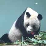 Bethany Dunn - @bethanydunn2006 - Instagram
