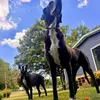 Beth Durham - @beth.durham3 - TikTok
