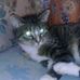 Bethany Farley - Facebook