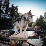 Bethany fields - @bethanyfields279 - Instagram