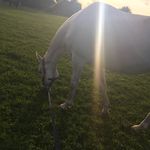 Bethanyfloyd - @xx.bethany_floyd.xx - Instagram