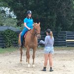 Bethany Francis - @jump_ponies_with_me - Instagram