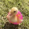 Bethany Francis - @bethany.francis4 - TikTok