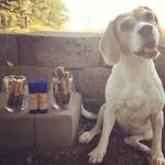 Bethany Frank - @beautyandbeagle - Instagram