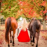 Bethany Glaser - @equine_pal - Instagram