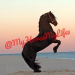 Bethany glover - @myhorsemylife1 - Instagram