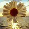 bethanygregory529 - @bethanygregory529 - TikTok