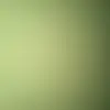 Bio - @bethanygregory33 - TikTok