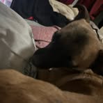 Bethany Hanks - Facebook