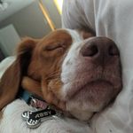 Bethany Hansen - @bethansen11 - Instagram