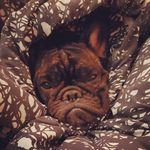 Bethany Hatchetface - @bethanyhatchetface - Instagram
