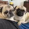 bethanyhatch84 - @bethanyhatch84 - TikTok