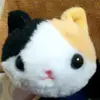 Bethany.Hoffman - @bethanyhoffmantthfunk - TikTok
