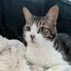 Bethany Hulse - @bethany.hulse - TikTok