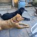Beth Jeffries - Facebook