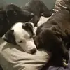 Bethany Jeffries - @bethany.jeffries - TikTok
