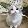 bethany john - @bethany.john0 - TikTok