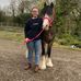 Bethany Johnston - Facebook