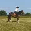 Bethany Johnston - @bethanyjohnston122 - TikTok