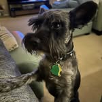 Bethany Kaye - @bciofalo5112 - Instagram