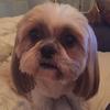 bethanykeating836 - @bethanykeating836 - TikTok