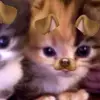 bethany - @.bethanykent0 - TikTok