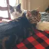 kim.bethany - @kim.bethany - TikTok