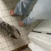Bethany Klein - @bethanykl69 - TikTok