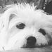 Beth Krajewski - Facebook