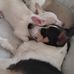 Beth Kramer - Facebook