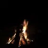 Bethany Lamb - @bethany.lamb4 - TikTok