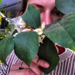 Bethany Latham - @bethany_growingforward - Instagram